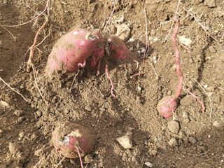 조상희님의 자유주제 · 자유게시판 작성글 사진