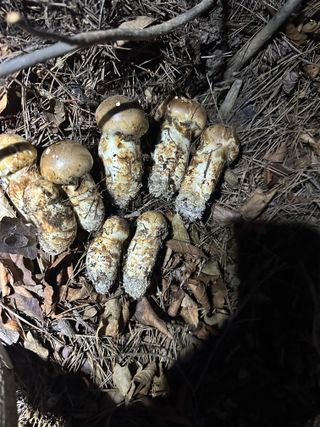 김성미님의 자유주제 · 자유게시판 작성글 사진