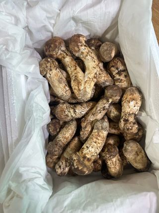 김성미님의 자유주제 · 자유게시판 작성글 사진