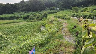 이춘기님의 팜모닝 · 출석 작성글 사진