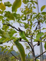 팜모닝 자유주제·자유게시판 게시글 이미지