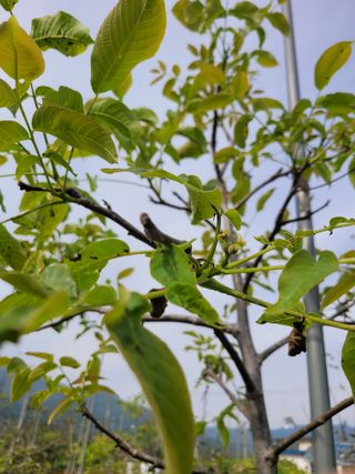 천산님의 자유주제 · 자유게시판 작성글 사진