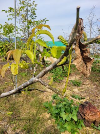 천산님의 자유주제 · 자유게시판 작성글 사진