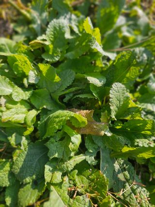 farmer님의 자유주제 · 자유게시판 작성글 사진