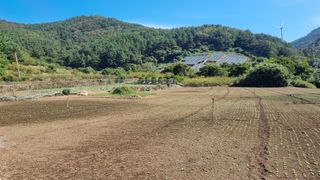 돌산갓농부(김승렬)님의 기타작물 · 영농일지 작성글 사진