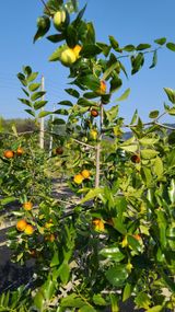 팜모닝 자유주제·자유게시판 게시글 이미지