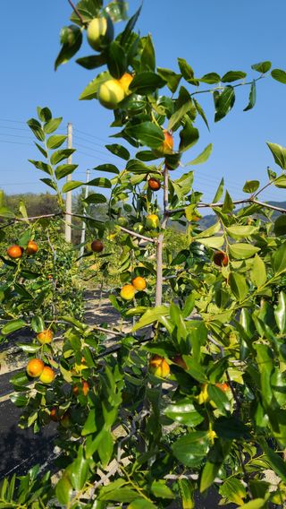 곰세마리님의 자유주제 · 자유게시판 작성글 사진