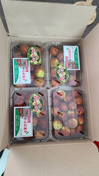 곰세마리님의 자유주제 · 자유게시판 작성글 사진