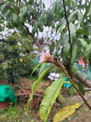 종이학님의 자유주제 · 사진전 작성글 사진