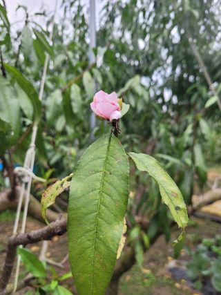 종이학님의 자유주제 · 사진전 작성글 사진