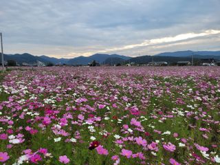 종이학님의 자유주제 · 사진전 작성글 사진