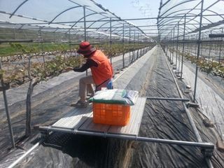 김용삼님의 자유주제 · 자유게시판 작성글 사진