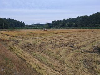 박태현님의 자유주제 · 사진전 작성글 사진