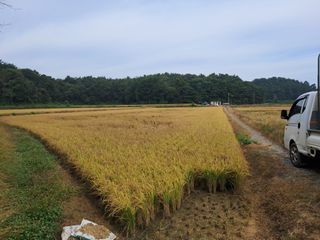 박태현님의 자유주제 · 사진전 작성글 사진