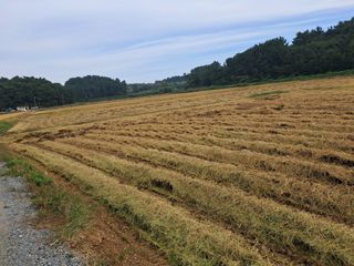 박태현님의 자유주제 · 사진전 작성글 사진