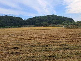 박태현님의 자유주제 · 사진전 작성글 사진