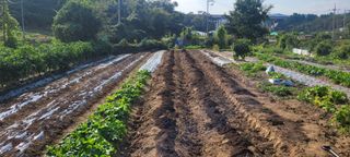 차동근님의 자유주제 · 자유게시판 작성글 사진