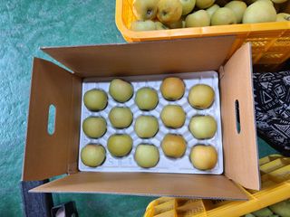 조순자님의 사과 · 영농일지 작성글 사진