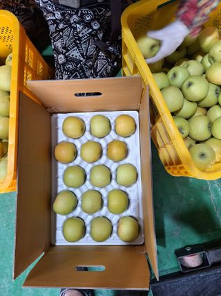 조순자님의 사과 · 영농일지 작성글 사진