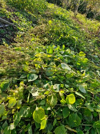 정석구님의 자유주제 · 자유게시판 작성글 사진