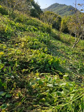 정석구님의 자유주제 · 자유게시판 작성글 사진