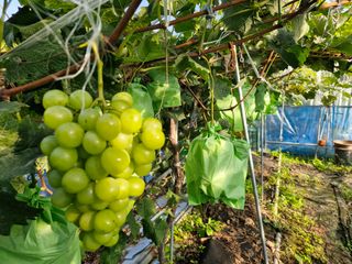 정석구님의 자유주제 · 자유게시판 작성글 사진