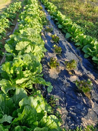 정석구님의 자유주제 · 자유게시판 작성글 사진