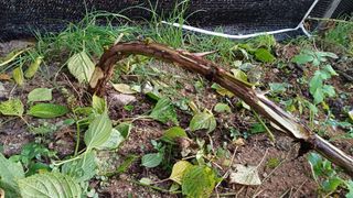 박순덕님의 자유주제 · 자유게시판 작성글 사진