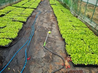 진여화 농원님의 [팜춘문예] 짧은 시 쓰기| 2024 · 참여글 작성글 사진