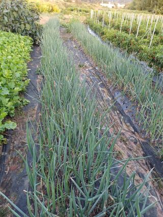 이름장인순님의 자유주제 · 자유게시판 작성글 사진