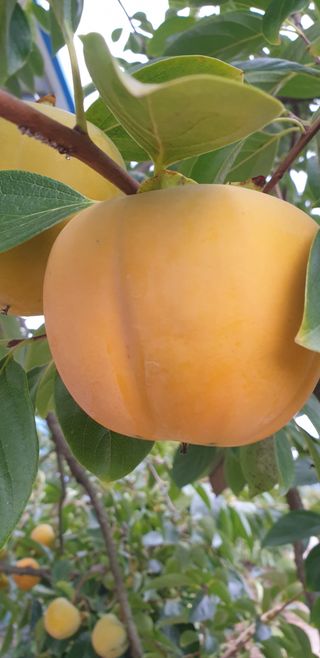 배창섭님의 자유주제 · 자유게시판 작성글 사진