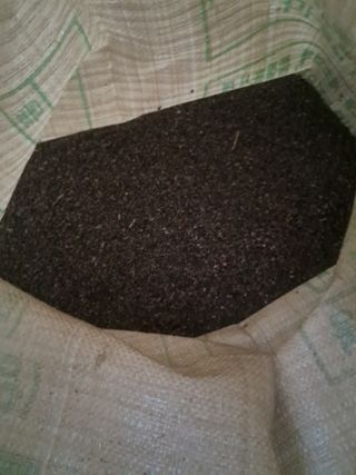 벼22905님의 들깨 · 영농일지 작성글 사진