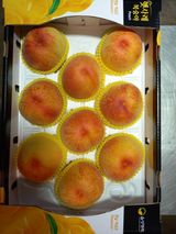 팜모닝 팜모닝·출석 게시글 이미지