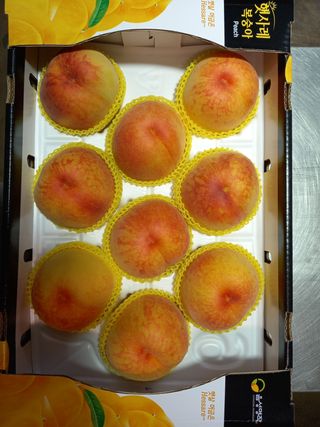 수레의산농장님의 팜모닝 · 출석 작성글 사진