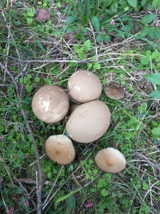 혜향님의 자유주제 · 자유게시판 작성글 사진