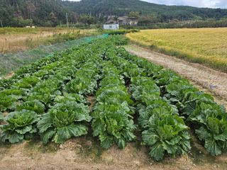 오영관님의 자유주제 · 자유게시판 작성글 사진