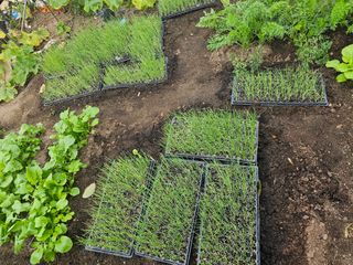 오영관님의 자유주제 · 자유게시판 작성글 사진