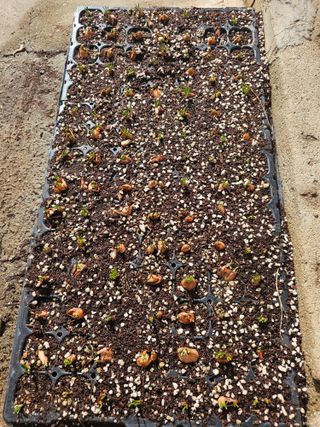 오영관님의 자유주제 · 자유게시판 작성글 사진