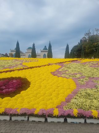 유일기님의 자유주제 · 자유게시판 작성글 사진