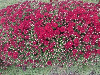 유일기님의 자유주제 · 자유게시판 작성글 사진