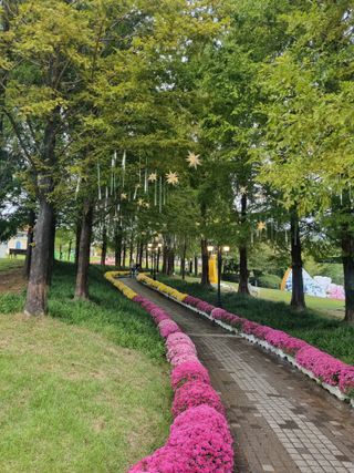 유일기님의 자유주제 · 자유게시판 작성글 사진