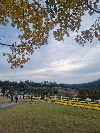 유일기님의 자유주제 · 자유게시판 작성글 사진