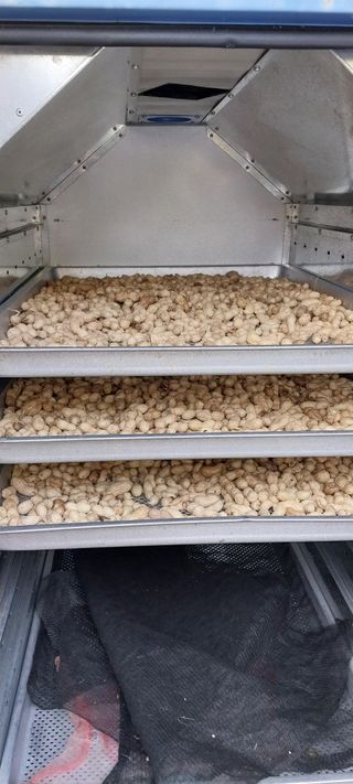 강신춘님의 고구마 · 영농일지 작성글 사진