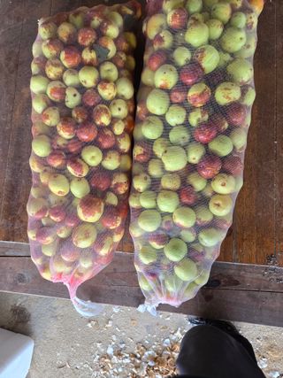 자연인님의 자유주제 · 자유게시판 작성글 사진