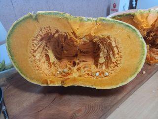 이석실님의 자유주제 · 자유게시판 작성글 사진