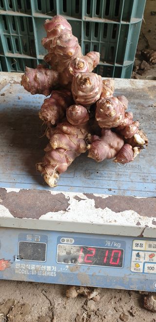 배창섭님의 자유주제 · 자유게시판 작성글 사진