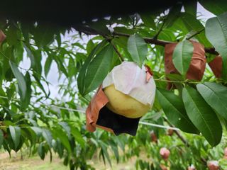 재거이님의 자유주제 · 자유게시판 작성글 사진