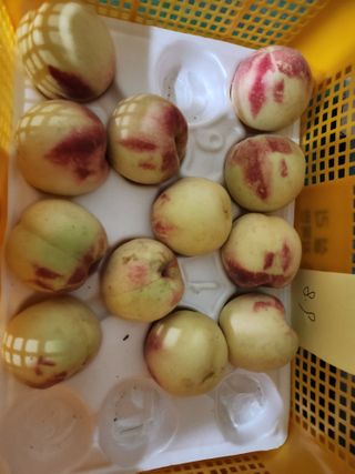 재거이님의 자유주제 · 자유게시판 작성글 사진