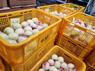 재거이님의 자유주제 · 자유게시판 작성글 사진