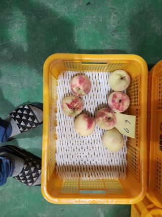 재거이님의 자유주제 · 자유게시판 작성글 사진